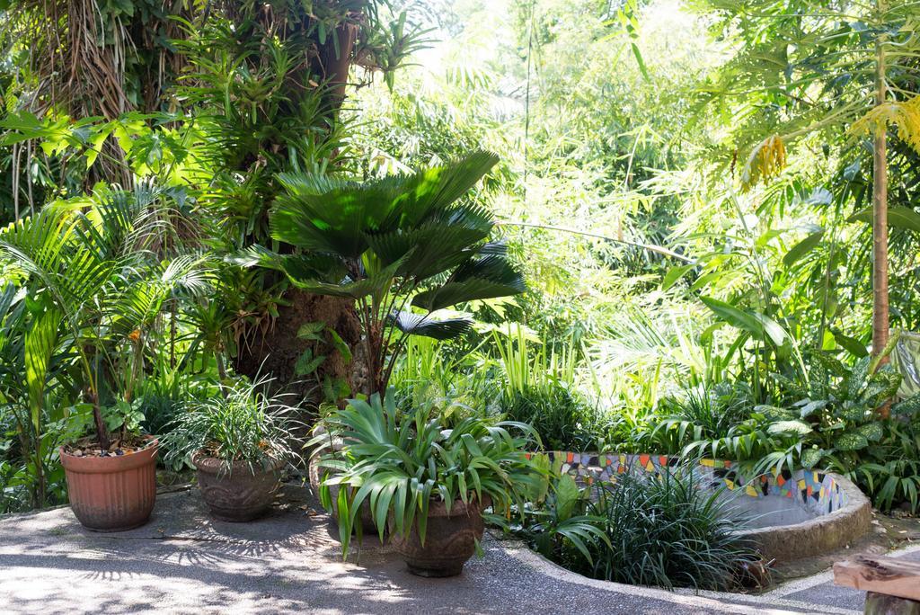 Hotel Serenity House Ubud Exteriér fotografie